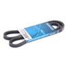 DAYCO 13A1100C Belt
