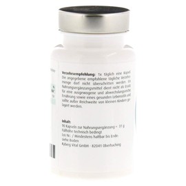 Orthodoc Zink Kapseln, 90 St