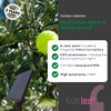 GuirLED - Outdoor garland with light balls LED guinguette -