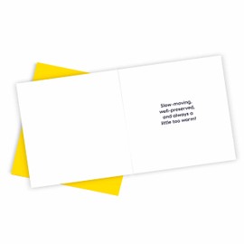 Huxters Funny Birthday Card for her women and Him MenYou're aging like a Florida Retirement home Rude for Mom Sister Auntie Brother Uncle - 17 by 12cm (Sunbed)