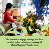 Choice Organics - Organic Mint Sage Tea (6 Pack) -