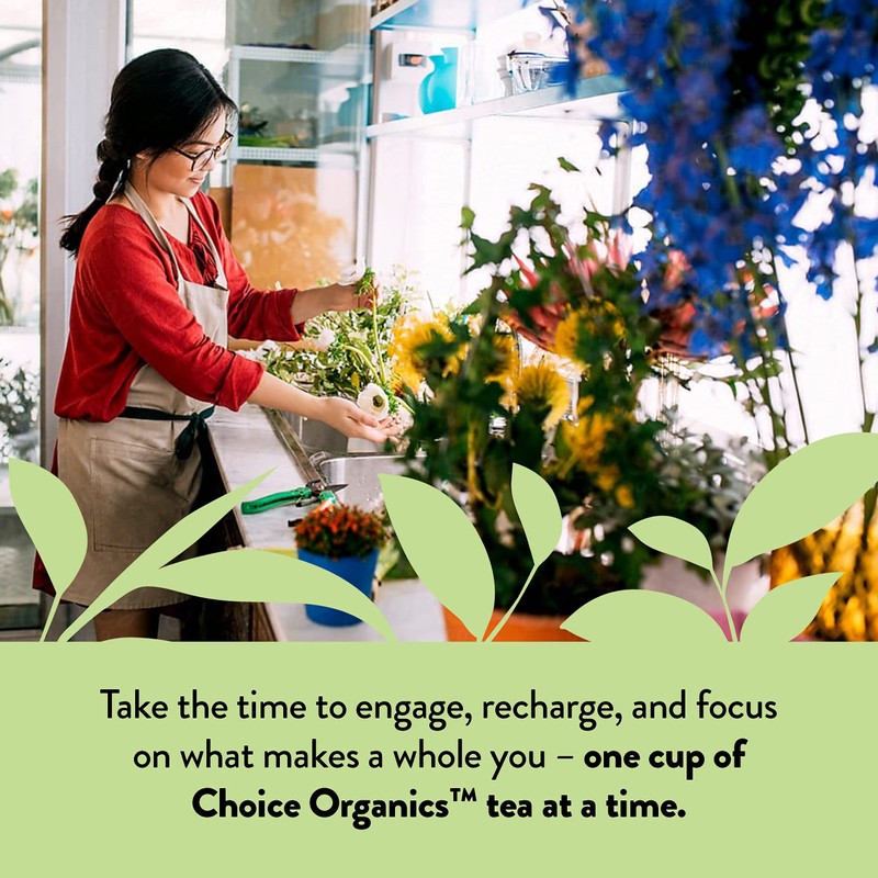 Choice Organics - Organic Mint Sage Tea (6 Pack) -