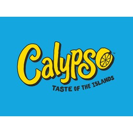 Calypso Lemonades 16 Ounce Glass Bottles 6 Pack (Paradise Punch Lemonade)