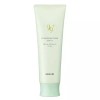 Noevir 노에비아 99 플러스 클린싱 폼 젠틀 100g Noevir 99 Plus Gentle Cleansing Foam 100g