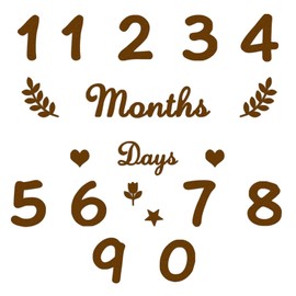 DELUXEFOX Hundreds of Day Decorations Letter Banners (20 Pcs) 100 Day Decorations Non-woven Birthday Photo Props 100th Celebration Photo Props Growth Record Props Birthday Decoration Supplies