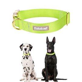 Babole Nylon Dog Collars Green for Small Puppy Dog,13 Colors,Adjustable Soft Comfortable Pet Collars with Safety Metal Buckle for Medium Large Boy&Girl&Female Dog (Fluorescent Green-XS)