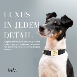 MVM Dog Lead with Collar & Waste Bag Dispenser Set - Waterproof & Easy Care - PU Leather & Braided Nylon - Golden Clasps - Adjustable Small, Medium & Large Dogs - Black