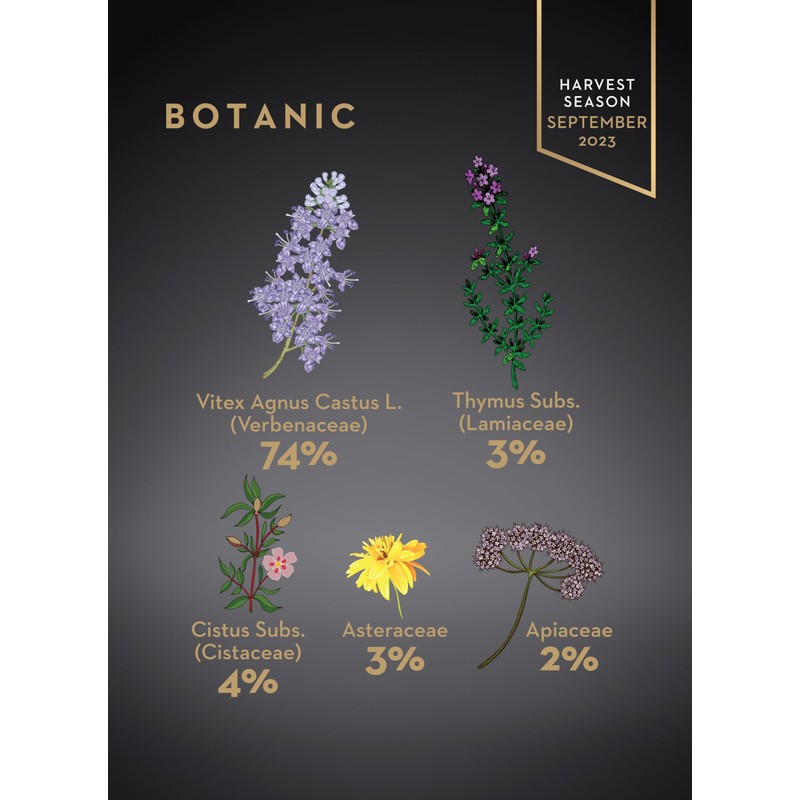 Garisar Premium Single Location Chaste Tree Honey | Pure Natural