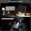WILIT Rechargeable LED Desk Lamp for Office Home, Cordless Reading