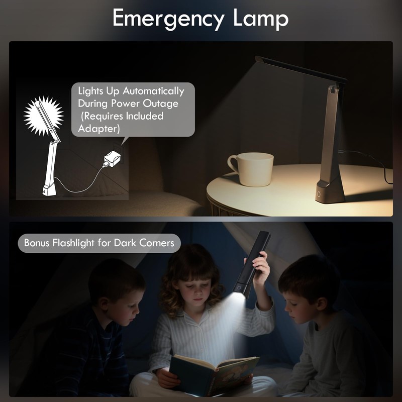 WILIT Rechargeable LED Desk Lamp for Office Home, Cordless Reading