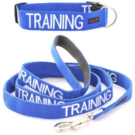 TRAINING (Dog In Training/Do Not Disturb) Blue Colour Coded S-M L-XL Dog Collar and 60cm 1.2m 1.8m or 2m Multi-use Luxury Neoprene Padded Handle Lead Sets PREVENTS Accidents By Warning Others Of Your Dog In Advance (L-XL & 1.2m)