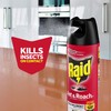 Raid Ant and Roach Kills on Contact No Lingering Chemical