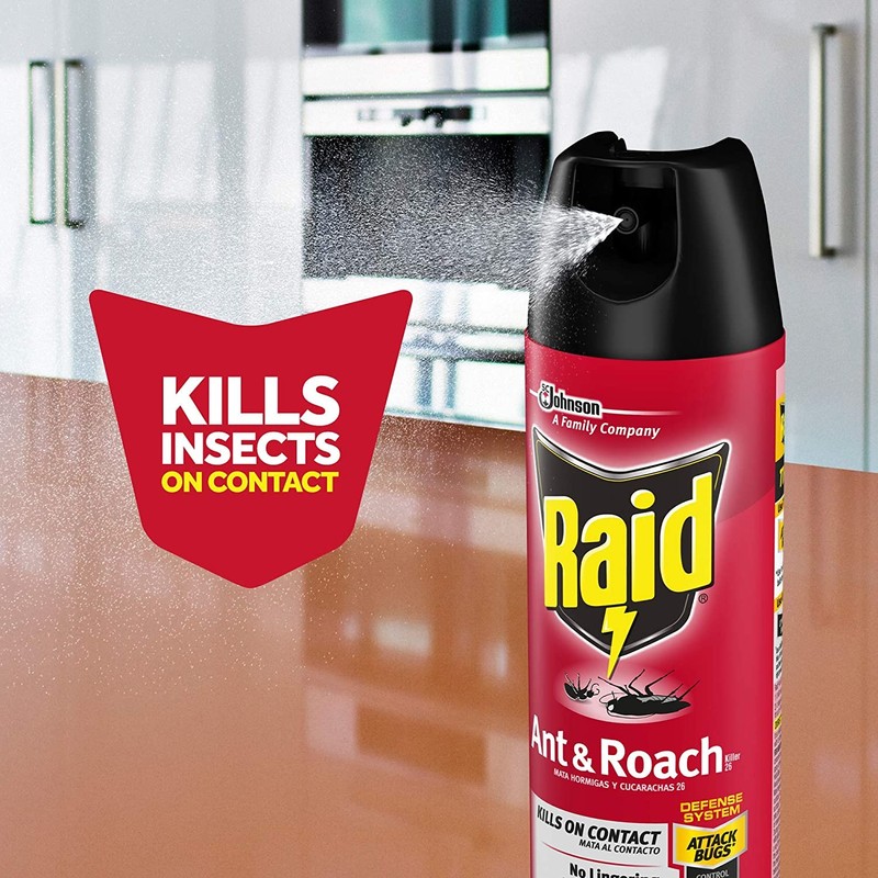 Raid Ant and Roach Kills on Contact No Lingering Chemical