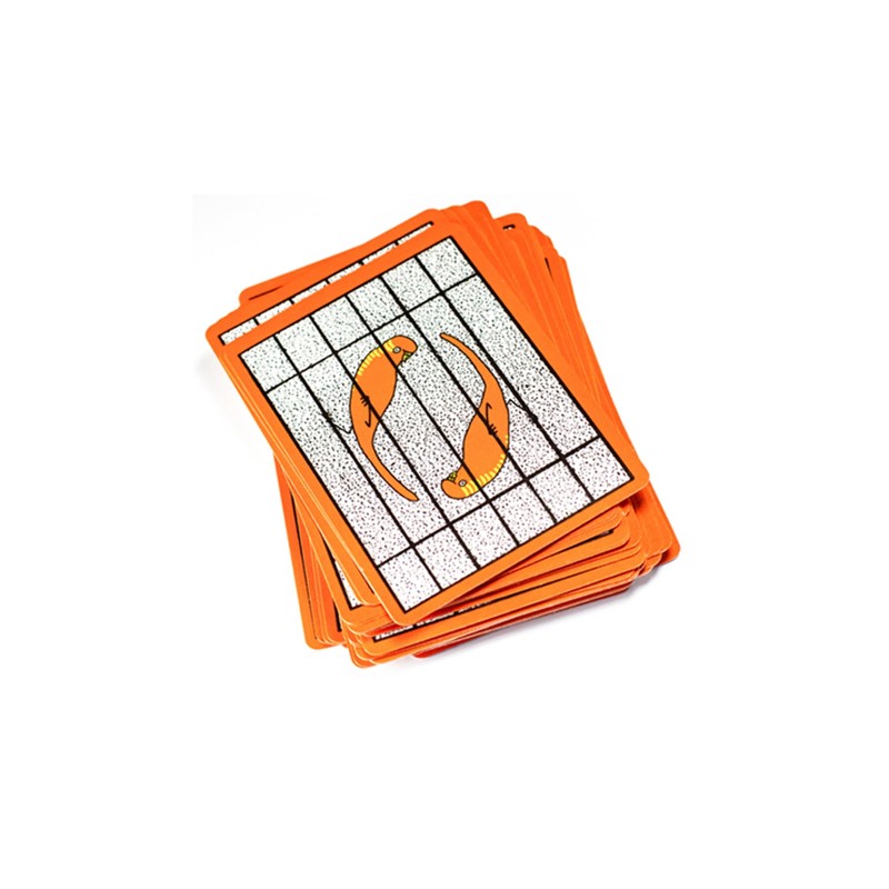 Murphy's Magic Supplies, Inc. Budgie! Playing Cards