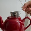 London Pottery Farmhouse Teapot with Infuser, Red, 2 Cup (600