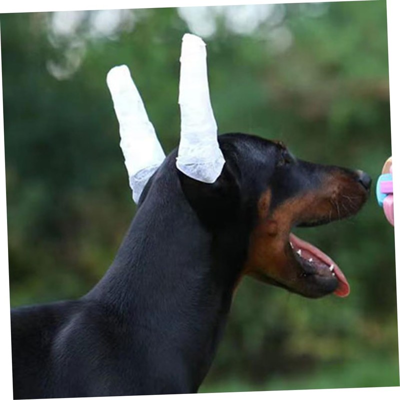 Kisangel Dog Ear Stand Fixed Rod 8 Pieces Pet Ear
