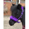 Equipride Horse Print Faux Lined Nylon Headcollars With Matching Lead