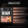 ESN Aminos, Cola, 400 g, Fine Amino Powder with Essential