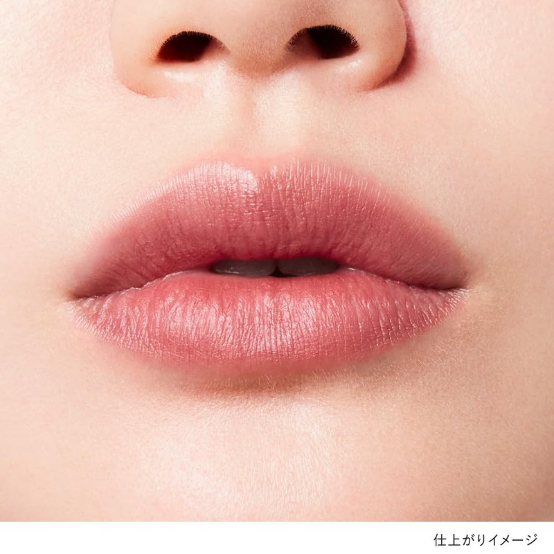 Kanebo Rouge Star Breeze B106 [Lipstick]