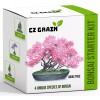 CZ Grain Bonsai Tree Kit - Grow 4 Types of