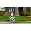 PetSafe Easy Walk Harness | No-Pull Leash Training Dog Harness