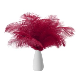 PATIKIL 8-10 Inch(20-25cm) Ostrich Feathers, 30 Pack Artificial Ostrich Feathers Bulk for Wedding Party Centerpieces Decorations Crafts Burgundy (6inch Width)