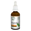 St. Francis Respirafect Lung Infections Tincture - 50ml - Coughs,