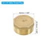 PATIKIL G1-1/4 Brass Pipe Plug, 1pcs Male External Thread Hex