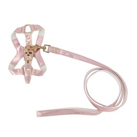 MAYPET | Pechero para perro pequeño con correa tamaño chico - Color rosa metálico