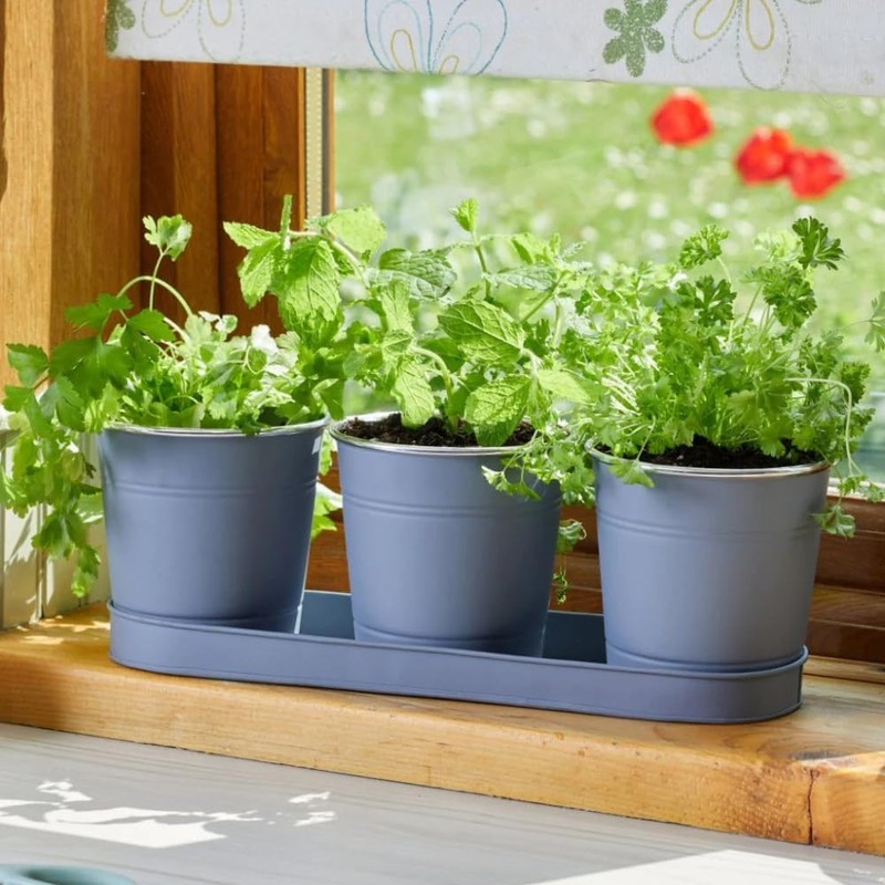 Smart Garden Products 6030302 Windowsill Herb Pots Metal, Slate Grey,