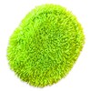 IBUKI MARK Car Wash Mop Replacement Car Wash Sponge Car