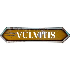 Vulvitis Golden Double Pointed end 8" Shaped Weathered Rustic Metal Look Magnet for use on Any Steel Surface