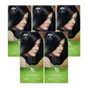 TS Good Dye 120g No. 3 Natural Black 5 Ss / TS 착한 염색 120g 3호 자연흑색 5개 Ss