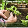 INCIKITI INCIKITI Biodegradable Peat Pots for Seedling - 120 Pack