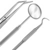 Student Professional Training Dental Hygiene Kit, Stainless Steel Tools Set,