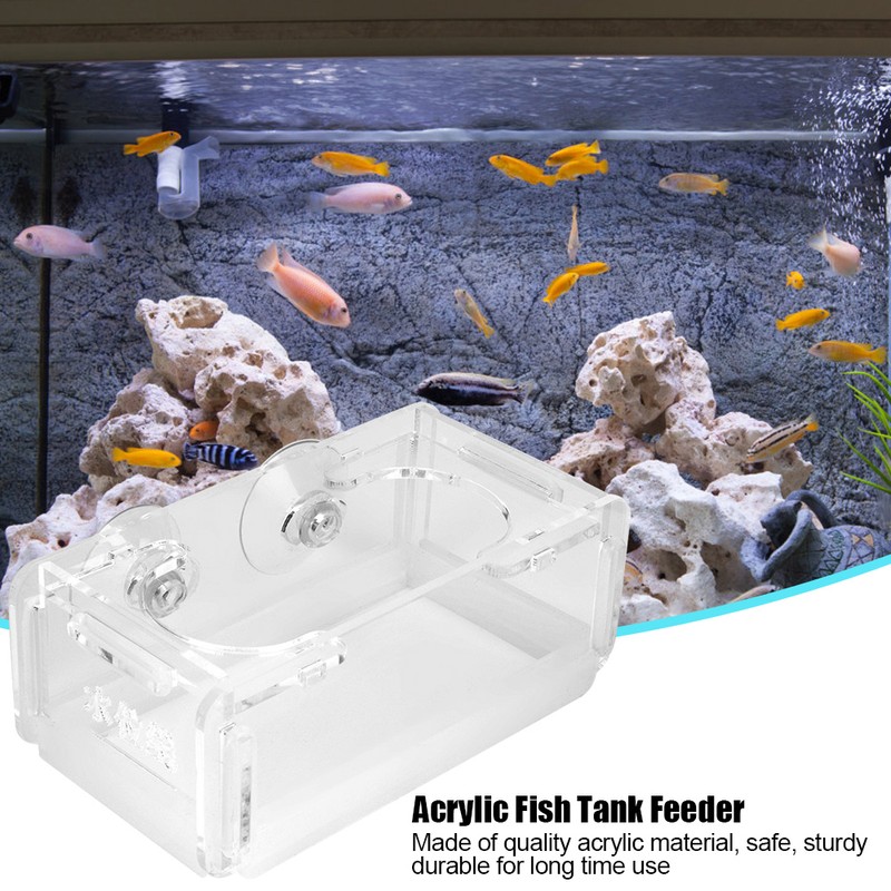 Acrylic Fish Food Feeder for Fish Tank Aquarium with Suction