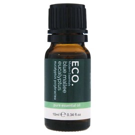 ECO. Modern Essentials Australian Eucalyptus (Blue Mallee) Pure Essential Oil, 10ml