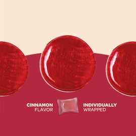 Sugar-Free Cinnamon Discs Hard Candy - 1 Pound Pack (About 80 Count) - Individually Wrapped