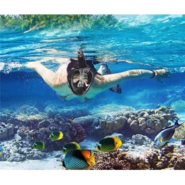 Wsobue Diving Mask, Full Mask, Snorkel Mask, Anti-Fog, Anti-Leak, 180° Field of View, Compatible Mask, Diving Goggles for Adults and Youth