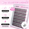 CALAILIS Individual Eyelashes, 132 Pieces, DIY Cluster Eyelashes, D Curl,