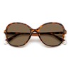 Polaroid Sunglasses, 086/Sp Havana