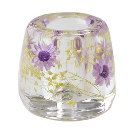 N&N Find Japan Japanese Toothbrush Holder Stand with Real Flower in Acrylic (Star Purple)