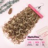 REECHO Curly Hair Extensions, 4PCS 20 inch Clip in Hair