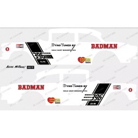 Hot Wheels 55 CHEVY GASSER (NON-WHITE TONER) DECALS BADMAN