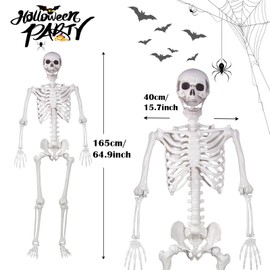Halloween Skeleton, Realistic Life Size Skeleton with Movable Joints for Halloween Party Haunted House Indoor Outdoor Decoration (5.4ft-2P)