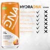 HYDRADNA- Clean Performance Drink, Zero Sugar | For Natural Fuel,