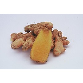 Nano Active Tropical Turmeric Capsules 239mg X 90 Grain