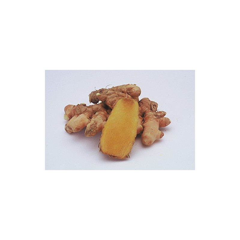 Nano Active Tropical Turmeric Capsules 239mg X 90 Grain