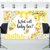 AOFOTO Honeycomb Bee Gender Reveal Backdrop What Will Baby Bee