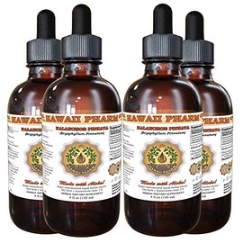 Hawaii Pharm LLC Kalanchoe Pinnata (Bryophyllum Pinnatum) Tincture, Dried Leaf and Stem Liquid Extract, Kalanchoe Pinnata, Herbal Supplement 4x4 oz